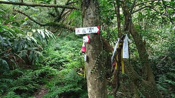 2018-05-26貢寮縱走大溪(長潭山縱走蕃薯寮山)(10