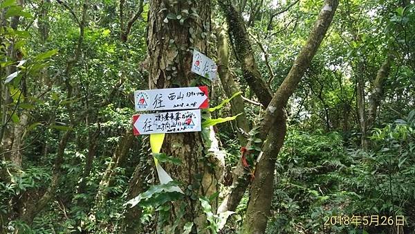 2018-05-26貢寮縱走大溪(長潭山縱走蕃薯寮山)(10