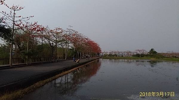 2018-03-17林初埤木棉花海隧道