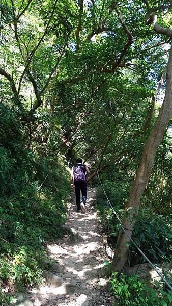 2017-09-23北橫古道、風櫃斗湖登山步道