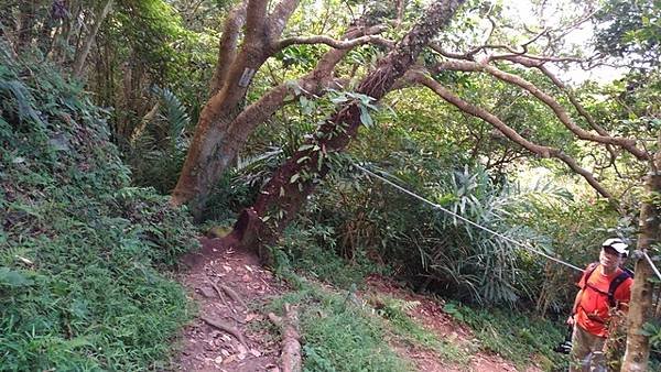 2017-09-23北橫古道、風櫃斗湖登山步道