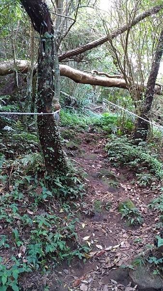 2017-09-23北橫古道、風櫃斗湖登山步道