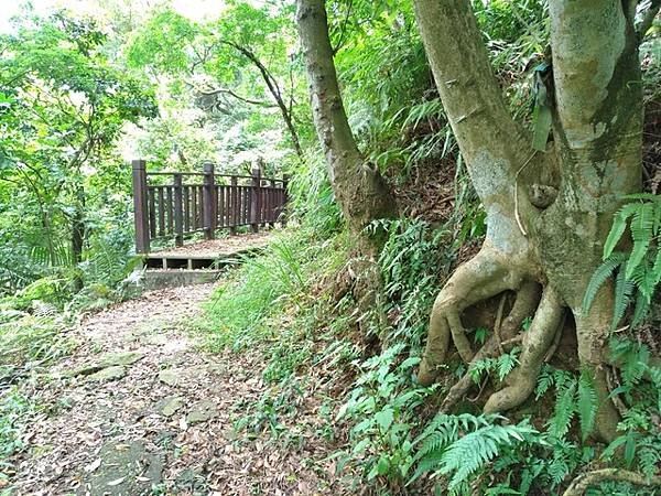 2017-05-23分水崙抗日古道、鳶尾山