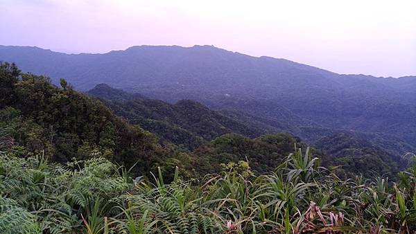 2017-04-23內平林山、番子坑山、上內平林山、下內平林