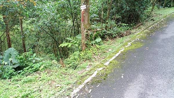 2017-04-23內平林山、番子坑山、上內平林山、下內平林