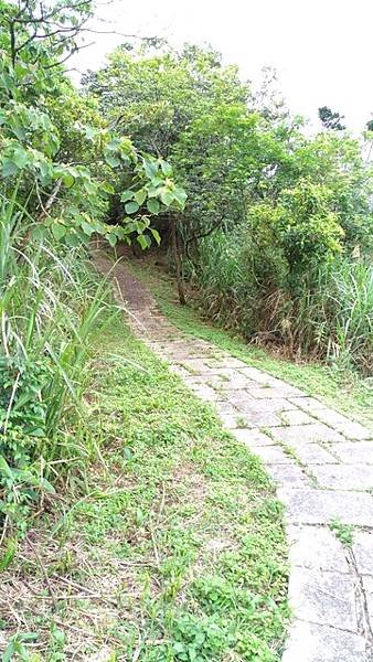 2017-04-23內平林山、番子坑山、上內平林山、下內平林