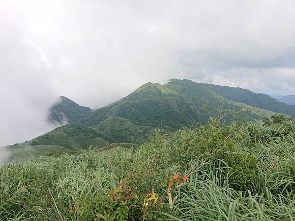 2023-07-02灣潭崙、鶯仔嶺山、打鐵寮山O走(1330