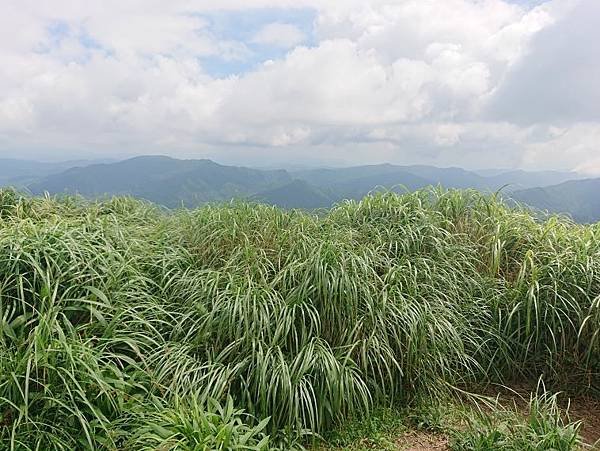 2023-07-02灣潭崙、鶯仔嶺山、打鐵寮山O走(1330