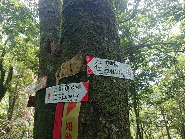 2023-07-02灣潭崙、鶯仔嶺山、打鐵寮山O走(1330