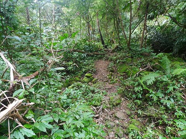 2017-03-04烏月山西南峰、南邦寮古道、尾寮古道南端、