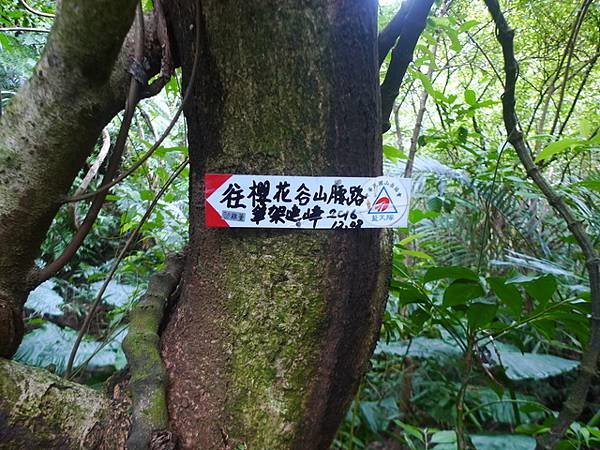 2017-03-04烏月山西南峰、南邦寮古道、尾寮古道南端、