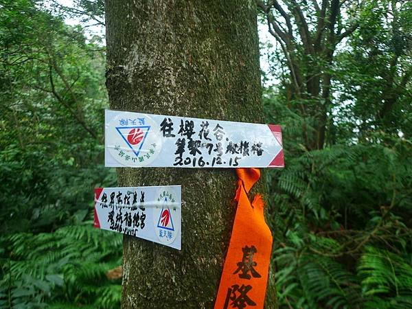 2017-03-04烏月山西南峰、南邦寮古道、尾寮古道南端、