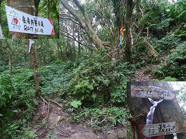 2017-03-04烏月山西南峰、南邦寮古道、尾寮古道南端、