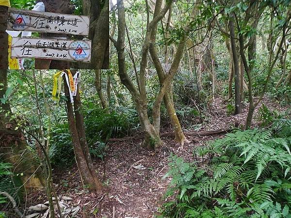 2017-03-04烏月山西南峰、南邦寮古道、尾寮古道南端、