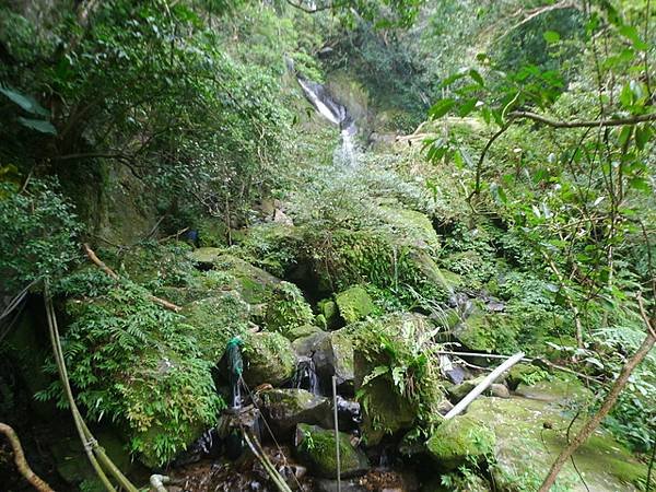 2017-03-04烏月山西南峰、南邦寮古道、尾寮古道南端、