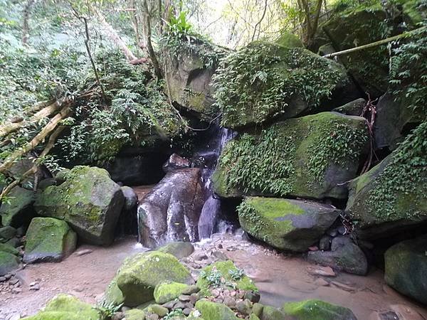 2017-03-04烏月山西南峰、南邦寮古道、尾寮古道南端、