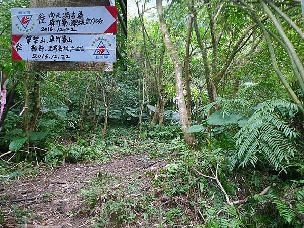 2017-03-04烏月山西南峰、南邦寮古道、尾寮古道南端、