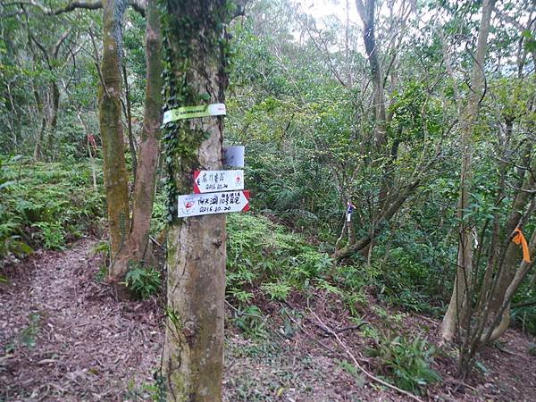 2017-02-11向天湖古道、麻竹寮山、昇高坑山、筆架山、