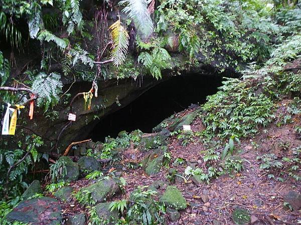 2016-11-26平湖山、平湖尖、南山坪山、司公碗帽山、灰