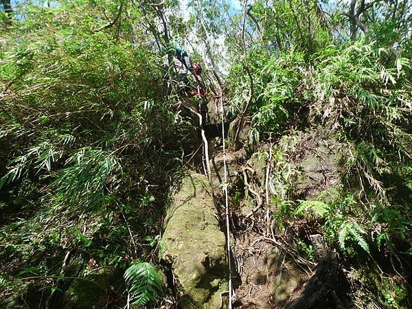 2016-11-26平湖山、平湖尖、南山坪山、司公碗帽山、灰