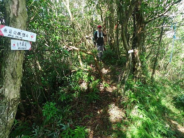 2016-11-26平湖山、平湖尖、南山坪山、司公碗帽山、灰