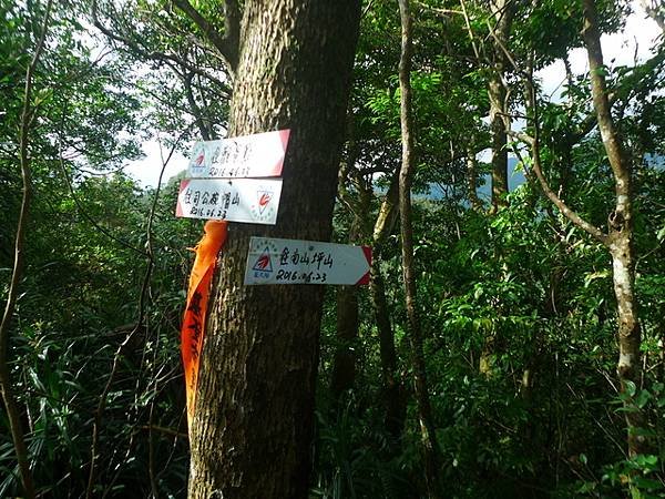 2016-11-26平湖山、平湖尖、南山坪山、司公碗帽山、灰