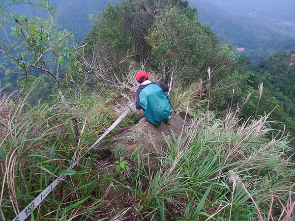 2016-11-26平湖山、平湖尖、南山坪山、司公碗帽山、灰