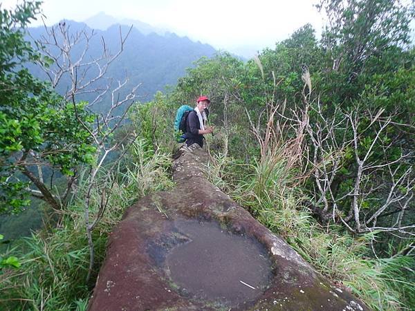 2016-11-26平湖山、平湖尖、南山坪山、司公碗帽山、灰