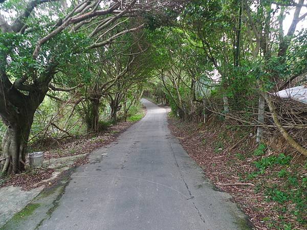 2016-11-25牛角坡山、啞口坑溪步道(981)