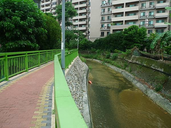 2016-11-25牛角坡山、啞口坑溪步道(981)