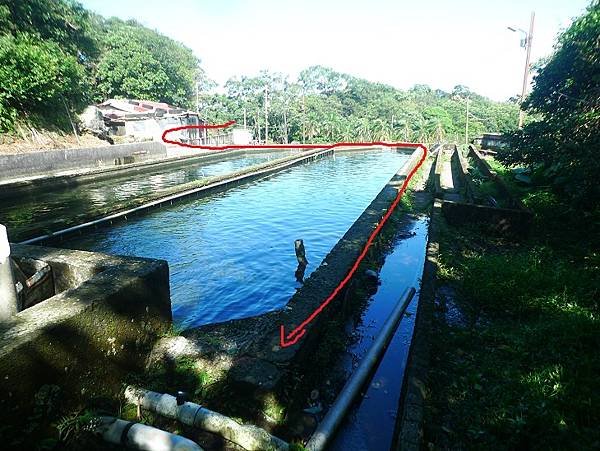 2016-09-24二坪頂古道登鷹仔鼻尖(968)