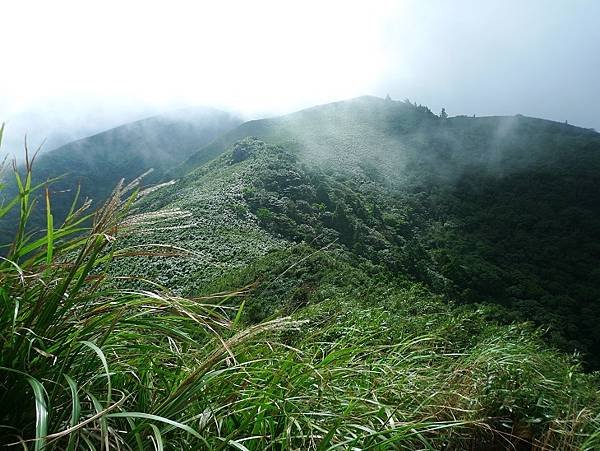 2016-09-24二坪頂古道登鷹仔鼻尖(968)