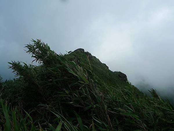 2016-09-24二坪頂古道登鷹仔鼻尖(968)