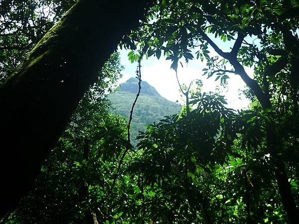 2016-09-24二坪頂古道登鷹仔鼻尖(968)