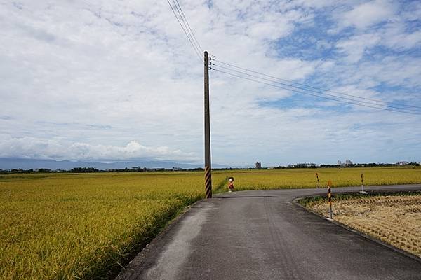 2016-06-30冬山車站冬山三奇伯朗大道