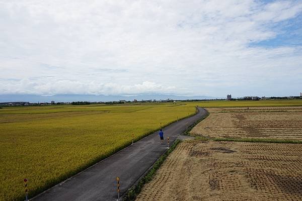 2016-06-30冬山車站冬山三奇伯朗大道