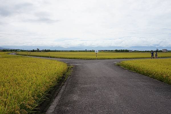 2016-06-30冬山車站冬山三奇伯朗大道