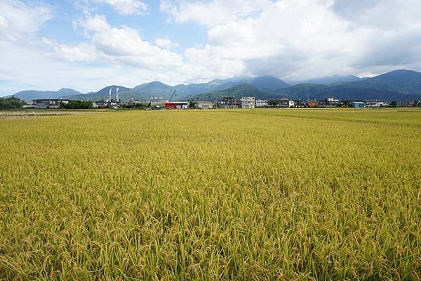 2016-06-30冬山車站冬山三奇伯朗大道