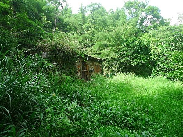 2016-05-28烏山尖、豎旗山南峰、豎旗山、網形山(94