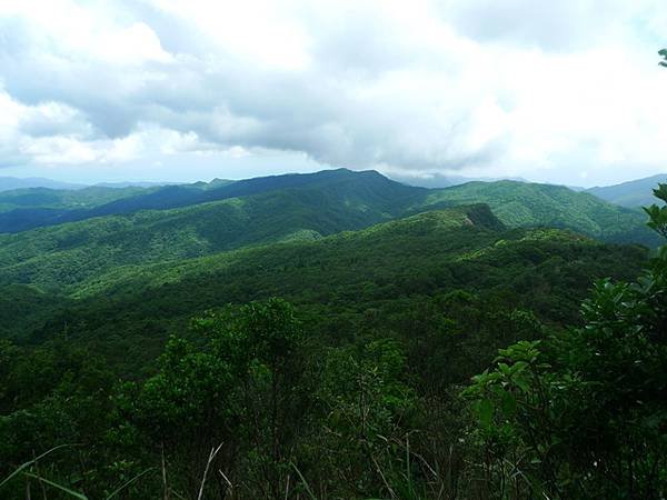 2016-05-28烏山尖、豎旗山南峰、豎旗山、網形山(94