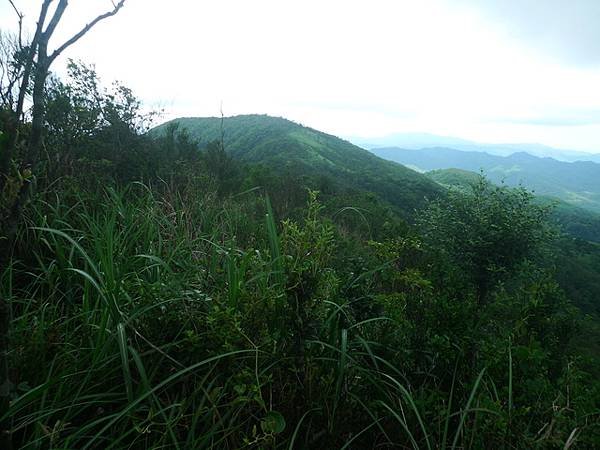 2016-05-28烏山尖、豎旗山南峰、豎旗山、網形山(94