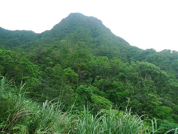 2016-05-28烏山尖、豎旗山南峰、豎旗山、網形山(94