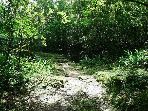 2016-05-15竹子山古道登橫山(941)