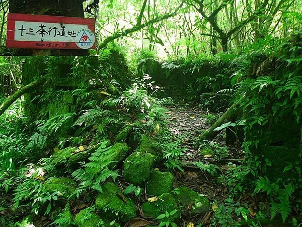 2016-05-15竹子山古道登橫山(941)