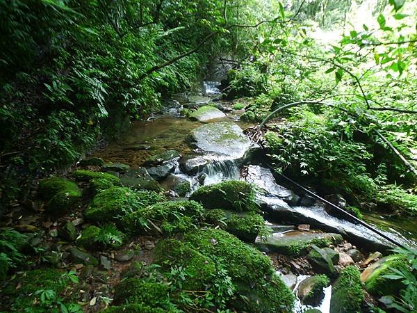 2016-05-15竹子山古道登橫山(941)