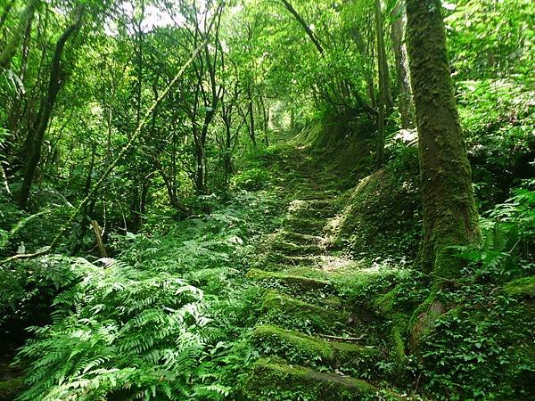 2016-05-15竹子山古道登橫山(941)