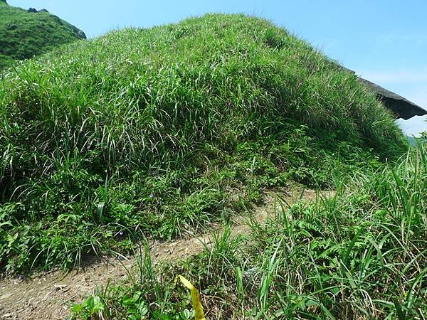 2016-05-07連走城堡稜長仁稜(黃金13、14稜)(9