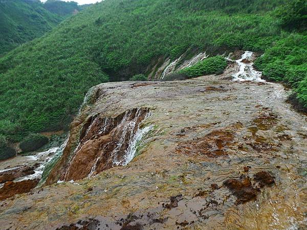 2016-04-30水螺稜(黃金12稜)