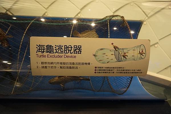 DSC03969.jpg