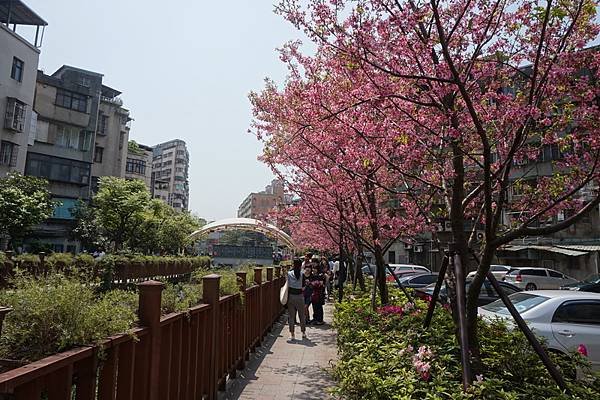 2016-04-06土城希望之河